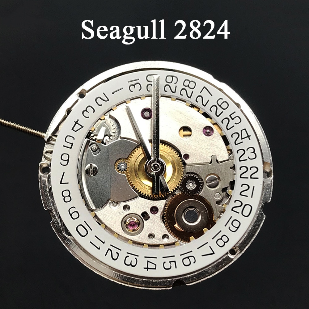 Top Seagull 2824-2  ð Ʈ, 25  ڵ ..
